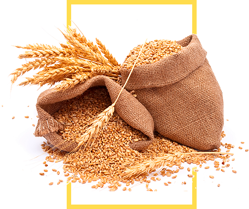 agricul-farm